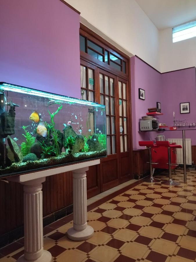 Cane B&B Montevideo Exterior foto